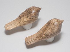 cb_SpaltedHackberry-10