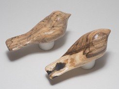 cb_SpaltedHackberry-11