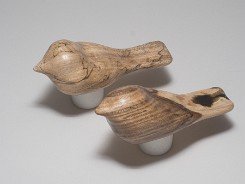 cb_SpaltedHackberry-12