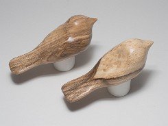 cb_SpaltedHackberry-2