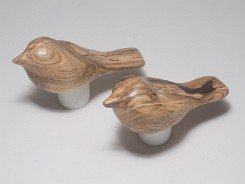 cb_SpaltedHackberry-3