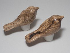 cb_SpaltedHackberry-4