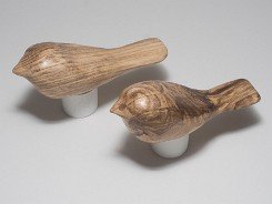 cb_SpaltedHackberry-5