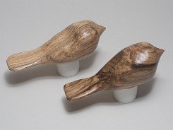 cb_SpaltedHackberry-6