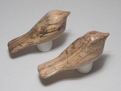 cb_SpaltedHackberry-8