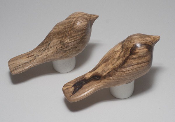 Spalted Hackberry